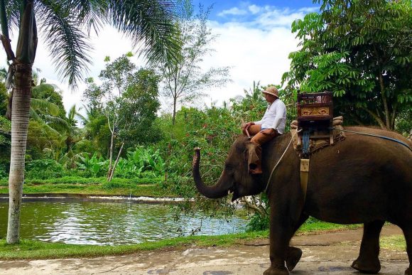 Bali Elephant Camp