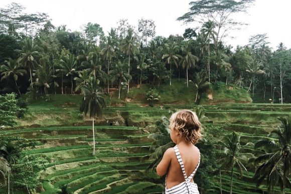 Tegalalang Rice Terrace