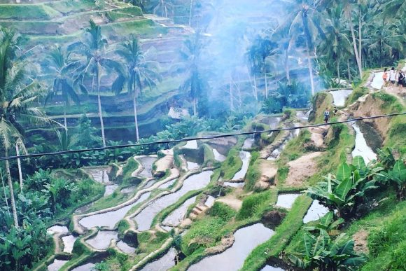 Tegalalang Rice Terrace