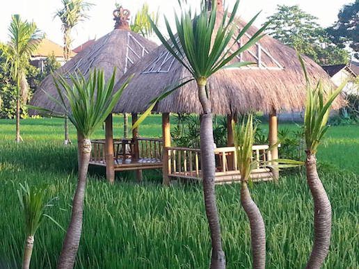 Warung Mogan, Dalung.