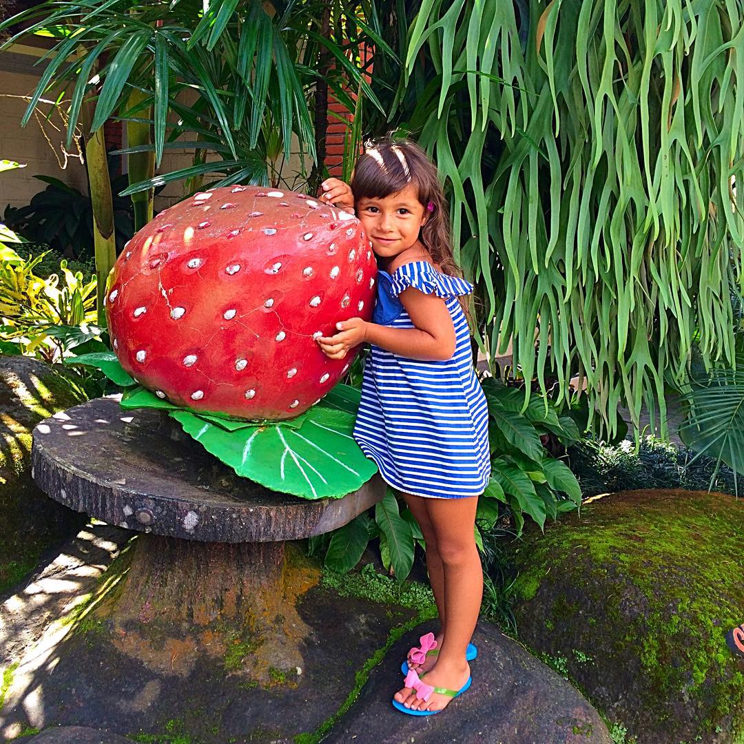 Strawberry Stop Bali, Tabanan